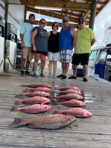 Snappers and more only in Florida!