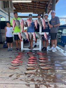 Triggerfish, Snappers and more offshore fish in FL