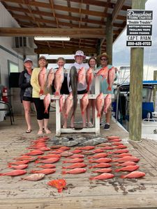 Successful Florida fishing charter! Fish on!