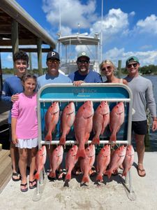 Eleven grey snapper, sooty grunter, and mutton snapper fish caught in Panama City Beach