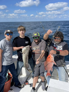 Two gag grouper fish caught while fishing in Panama City Beach