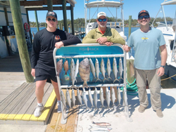 Two Spanish mackerel, 13 inches, in Panama City Beach