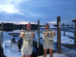 Two spotted weakfish caught while fishing in Florida
