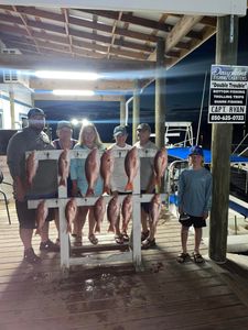 8 fish caught in Panama City Beach
