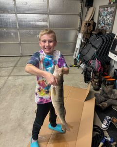 1 angler caught a 22-inch fish in Clarkston