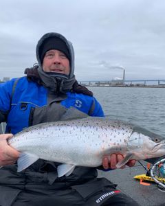 A fisherman holding a large Atlantic salmon caught in Clarkston
