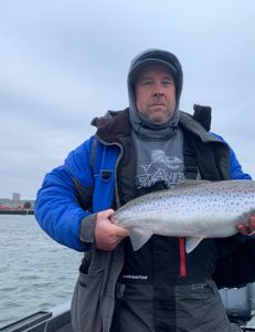 A single Atlantic Salmon fish caught in Clarkston
