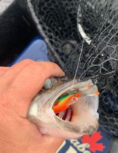 Best great fishing in MI