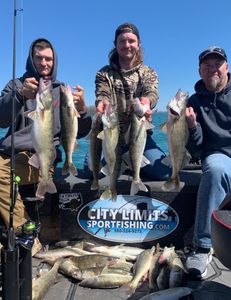 Seven sauger fish caught while fishing in MI