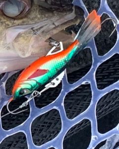Fishing in the great outdoors at Clarkston
