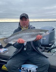 A large rainbow trout caught while fishing in MI