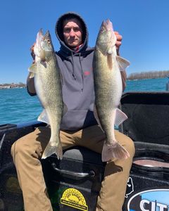 Two walleye and pike-perch fish caught in Clarkston
