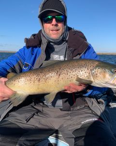 Angler holding a large rainbow trout in Clarkston