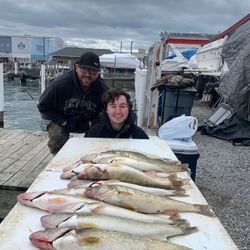 3 big fish caught while fishing in Clarkston