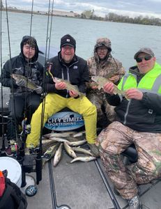 Two walleye fish caught while fishing in MI