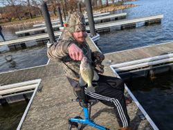 Crappie fish caught while fishing in PA