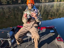 Crappie fish caught while fishing in PA