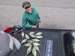 Two crappie fish caught while fishing in PA