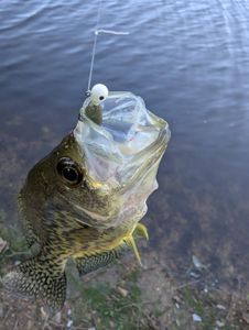 Fishing in Pennsylvania