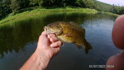 Smallmouth bass caught in PA