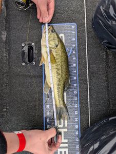 Fishing in PA