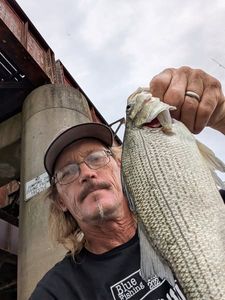 Angler fishing in Pennsylvania