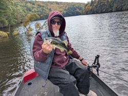 Largemouth bass caught while fishing in Foxburg