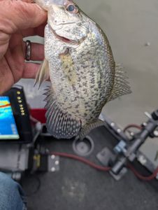 A beautiful landscape shot of the Foxburg area.