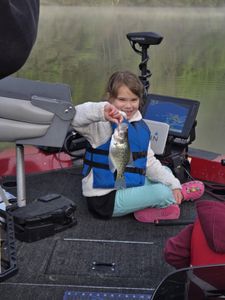 White crappie fish caught in PA