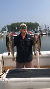 Two fish caught by a person at Lakeside Marblehead