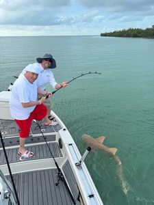 Goodland Bull Shark capture with Trophy Time!