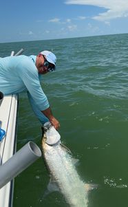 Tarpon success in Goodland with Captain Steve!