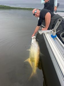 Tarpon Trophy Bounty! Goodland Florida Charter!