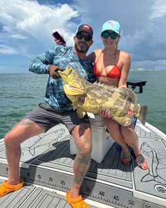 Tons of Goliath groupers