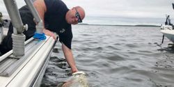 Tropical Tarpon Await Here!