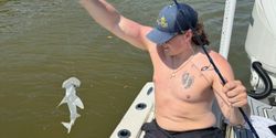 Baby Hammerhead Shark Reels in Goodland FL