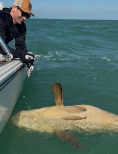 Angler with a big fish in Florida