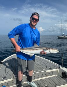 Photo of a single Cobia fish measuring 23 inches, caught while fishing in Florida.