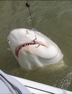 A fantastic fishing trip in FL