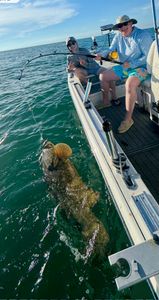 Three people fishing in Florida