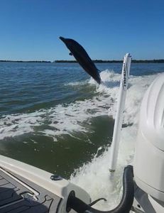 Fishing in FL