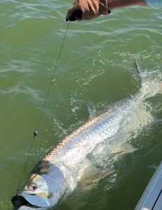 A fishing outing in Goodland