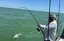 Lone angler fishing in Goodland