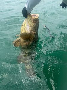 Scenic fishing spot in FL