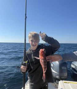 Angler fishing in Florida