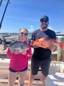 Two grey triggerfish caught while fishing in FL