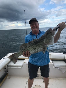 Gag grouper fish caught while fishing in FL