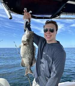 A fisherman holding a 17-inch Gag Grouper in Pensacola.