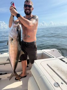 Fisherman holding a 31-inch greater amberjack in FL