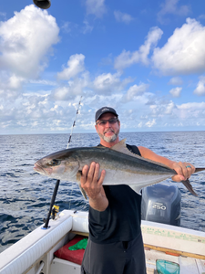 Photograph of a greater amberjack, a 29-inch fish caught while fishing in Pensacola.